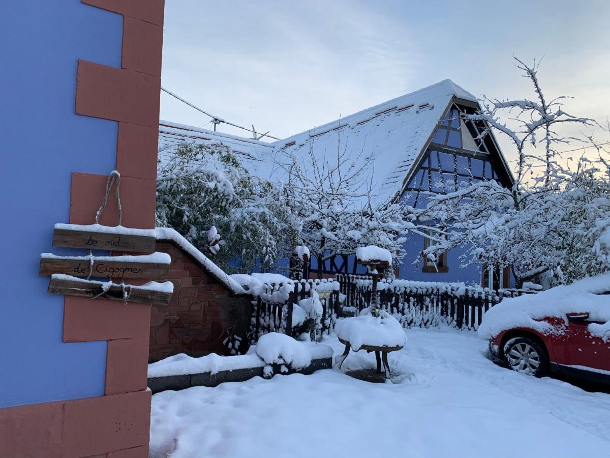 Maison d'hôtes Le nid de cigognes à Menchhoffen Extérieur photo