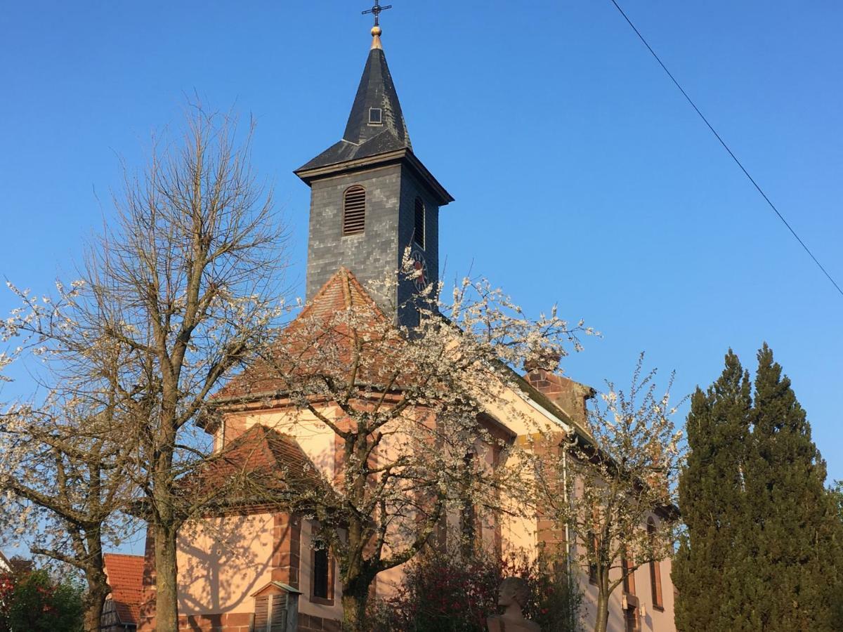 Maison d'hôtes Le nid de cigognes à Menchhoffen Extérieur photo