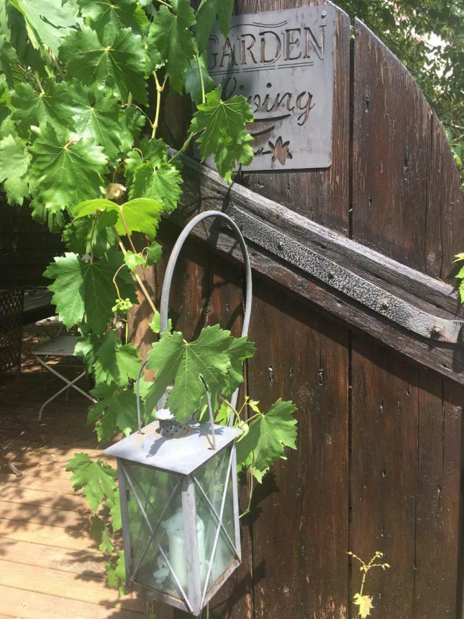 Maison d'hôtes Le nid de cigognes à Menchhoffen Extérieur photo